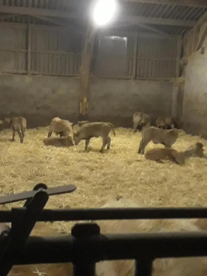Eco Gite A La Ferme Campagnac  France